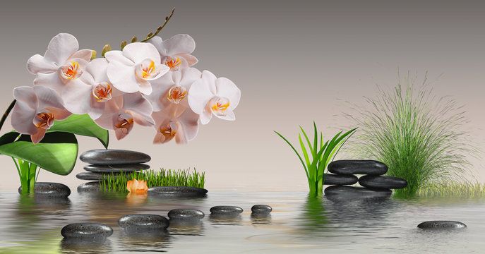 Wandbild mit Orchideen, Steinen im Wasser