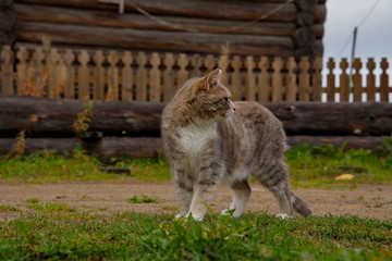 Walking through the village streets