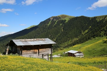 flowering meadows and village landscapes.savsat/artvin/turkey 