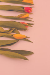 Bunch of Spring tulip flowers in pink tones . Flat lay. Waiting for spring. Happy Easter card. Top view. Flower Tulip .Spring or summer background with copy space for text. Vintage tone or pink tone.