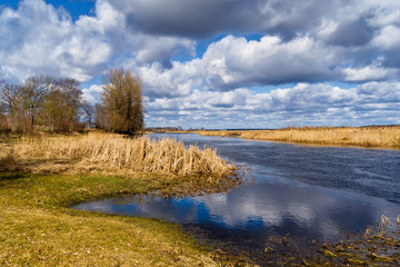 Rzeka Supraśl i Narew. Złotoria nad Narwią. Wiosna w dolinie Narwi i Supraśli. Podlasie, Polska © podlaski49