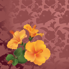 Bouquet of hibiscus on seamless floral background.