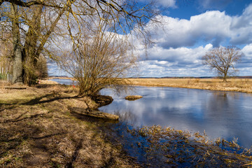 Rzeka Supraśl i Narew. Złotoria nad Narwią. Wiosna w dolinie Narwi i Supraśli. Podlasie, Polska © podlaski49