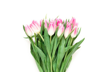 Floral background with tulips flowers on white background. Flat lay, top view. Lovely greeting card with tulips for Mothers day, wedding or happy event - Image.