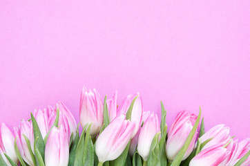 Floral background with tulips flowers. Flat lay, top view. Lovely greeting card with tulips for Mothers day, wedding or happy event - Image.