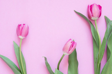Obraz premium Floral background with tulips flowers. Flat lay, top view. Lovely greeting card with tulips for Mothers day, wedding or happy event - Image.