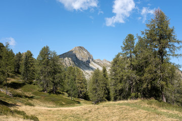 Beautiful mountain and forest view