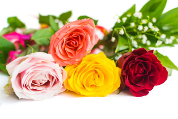 Colorful roses isolated on white background with place for text