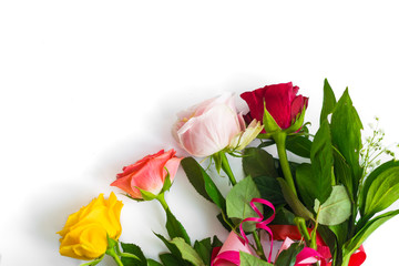 Colorful roses on white background with place for text
