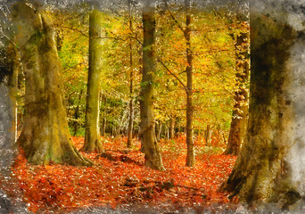 Obraz premium Watercolor painting of Stunning colorful vibrant Autumn Fall forest landscape