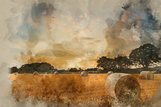 Watercolor painting of Rural landscape image of Summer sunset over field of hay bales