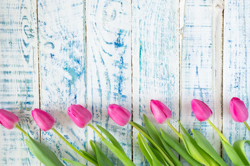 Pink tulips on white blue wooden background with copy space for card