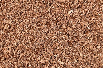 Fototapeta premium lots of brown wood saw dust