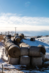 Cattle country is Rockyview County, Alberta, Canada