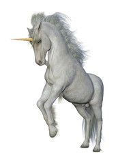 3D Rendering Fairy Tale White Unicorn on White