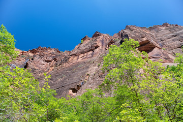 Zion National Park mountains in summer season, UT