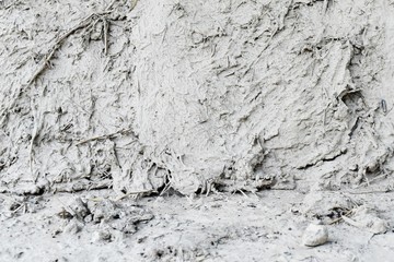 dry grass and mud for background
