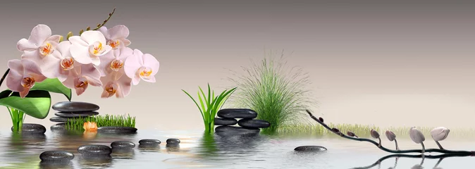 Fototapete Büro Wandbild mit Orchideen, Gras und Steinen im Wasser