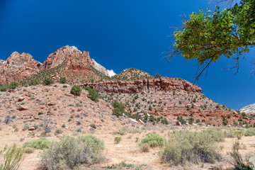 Fototapeta na wymiar Mountains of Zion National Park, Utah