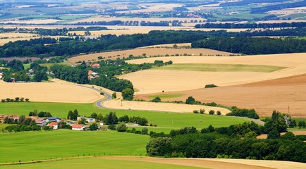 Fototapeta na wymiar Fields in the summer. East Moravia. Europe.