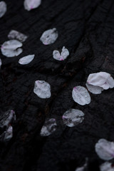 桜の花びら