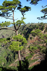Aussichtspunkt neben dem Bauernmarkt von Puntagorda