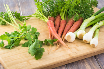 Pink fresh organic carrots, green onion, cilantro.