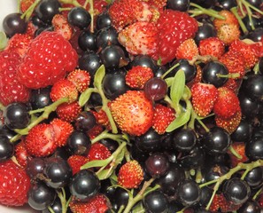 Obraz na płótnie Canvas fresh berries on a white background