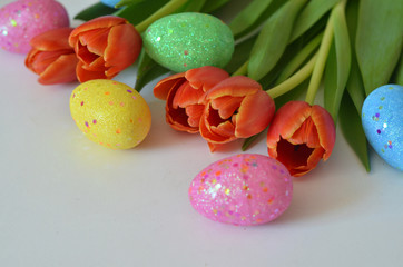 Happy Easter. Congratulatory easter background. Easter eggs and flowers tulip on white background.