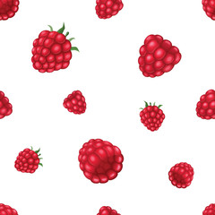 Seamless pattern with raspberry. Vector realistic illustration