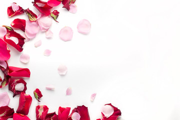 Rose flowers petals on white background. Valentines day background. Flat lay, top view, copy space.