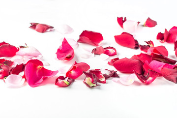 Rose flowers petals on white background. Valentines day background. Flat lay, top view, copy space.