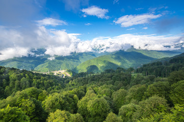 Obraz premium View of Caucasian mountains