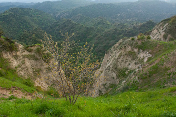 view of the deep gorge