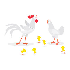 Illustration of white chicken family isolated on white background