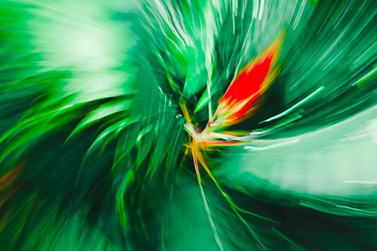 Red stigma in the middle of green petals - Abstract Expressionism Impressionism.