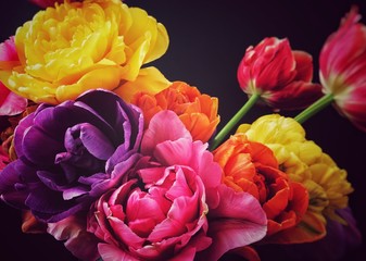 Obrazy na Szkle  Kolorowe tulipany w stylu vintage