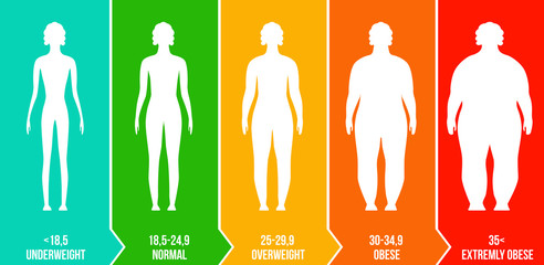 Creative vector illustration of bmi, body mass index infographic chart with silhouettes and scale isolated on transparent background. Art design health life template. Abstract concept graphic element