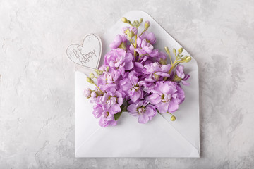 Lilac matthiola flowers in envelope
