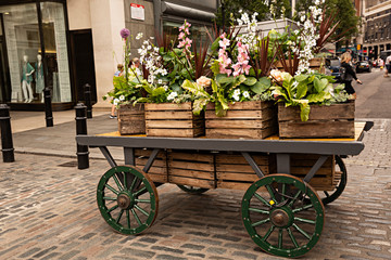 Fototapeta na wymiar Carro con plantas y flores decorando la ciudad.