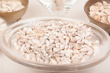 sea shells on a vase