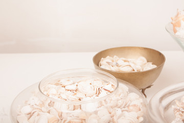 sea shells on a vase