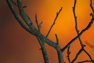 Sonnenuntergang in den Bergen