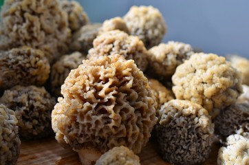 Mushrooms morels on a wooden board.