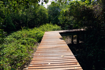 Wooden path in the center of the mangrove forest. Landmark of Park Nam Rayong.