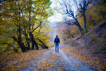 Fototapeta premium traveler in beautiful autumn forest