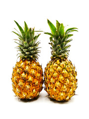 Two whole ripe pineapple fruit isolated on white background