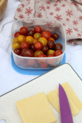 Cheese and cherry tomato on a picnic blanket. Selective focus.