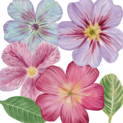 Fototapeta premium Seamless watercolor flowers pattern. Hand painted flowers of different colors