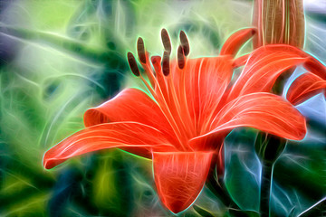 fractal image of a flower -  lily